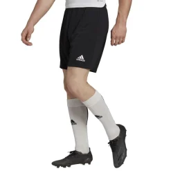 ADIDAS-SHORT ENTRADA 22-H57504