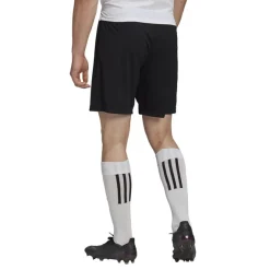 ADIDAS-SHORT ENTRADA 22-H57504