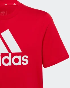 ADIDAS-T-SHIRT ESSENTIALS BIG LOGO COTTON-IC6856