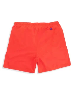 BOXER MARE MENELAO ARANCIO