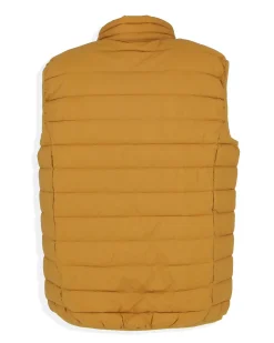 CARRERA - UOMO GILET 100 GR