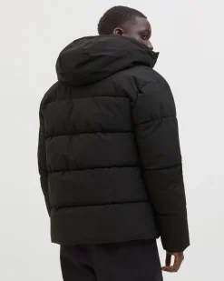 GIUBBINO GLOBAL PUFFER