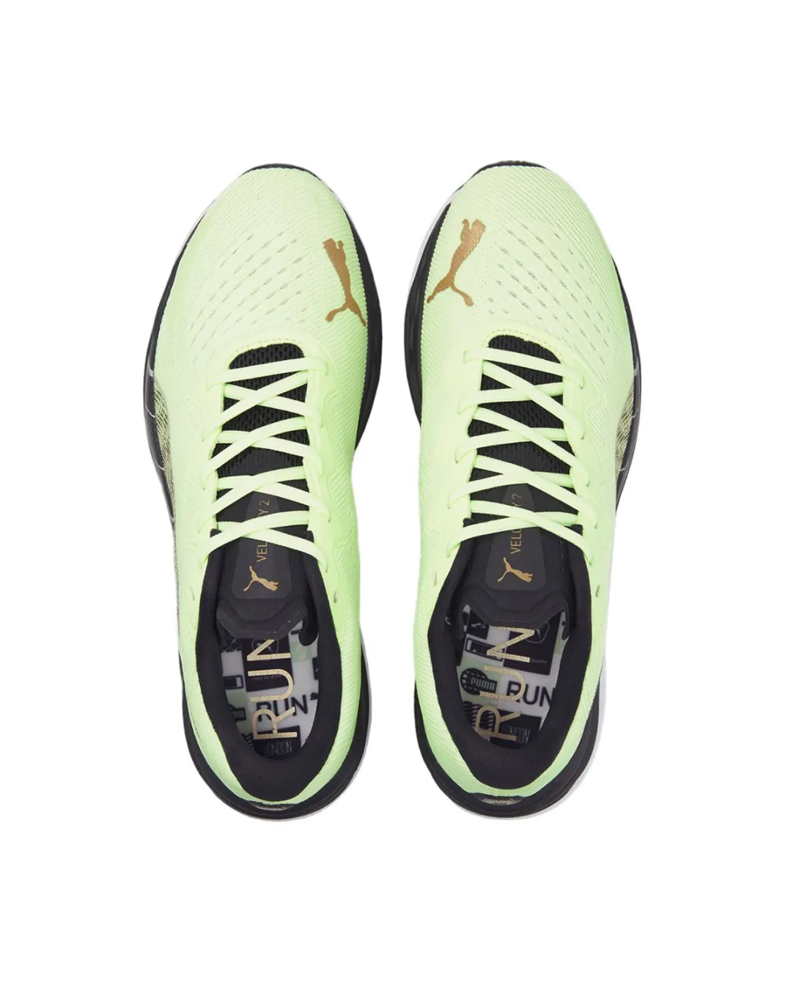 SCARPA VELOCITY NITRO 2 RUN 75 YEL-BLK