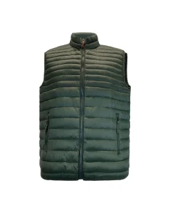 YELLOW DOG - GILET 100 GRAMMI UNITO SCOZZESE