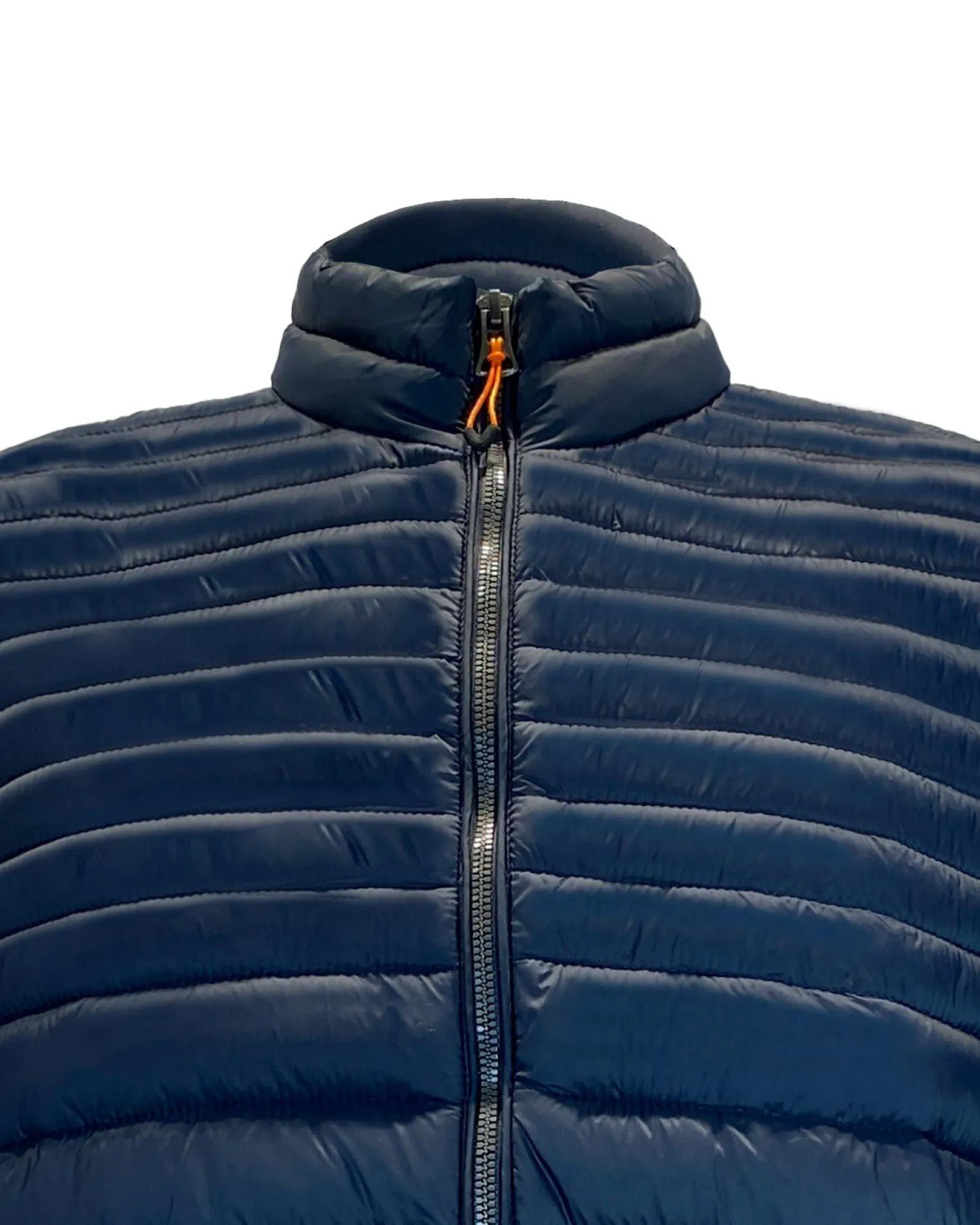 YELLOW DOG - GILET 100 GRAMMI UNITO SCOZZESE