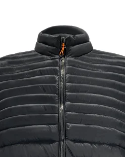 YELLOW DOG - GILET 100 GRAMMI UNITO SCOZZESE