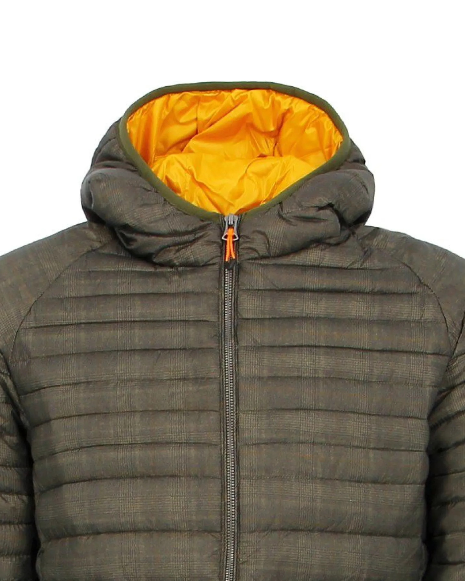 YELLOW DOG - GIUBBINO 100 GRAMMI CAPPUCCIO SCOZZESE